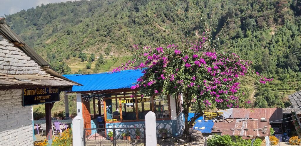 Annapurna base camp trek