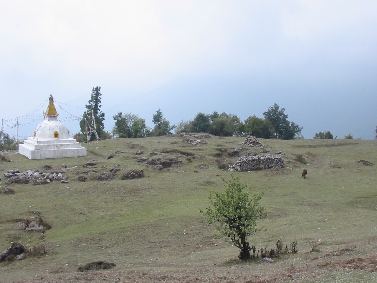 Langtang Valley