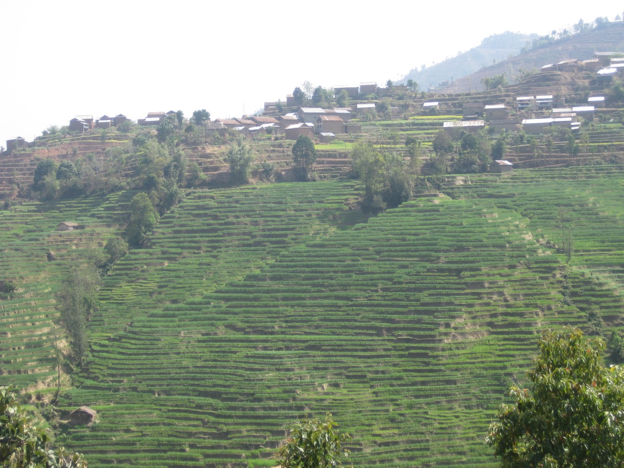helambu & ama yangri